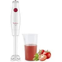 Купить  блендер moulinex dd 12 a 110 в интернет-магазине iceteh.ru в Орске, Новотроицке, Гае, Домбаровском, Ясном, Адамовке, Кваркено!