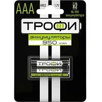 Купить  батареи трофи hr 03-2bl 950mah в интернет-магазине iceteh.ru в Орске, Новотроицке, Гае, Домбаровском, Ясном, Адамовке, Кваркено!