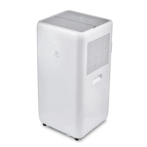 Купить  кондиционер electrolux eacm-09 xn/n6 мобильный в интернет-магазине iceteh.ru в Орске, Новотроицке, Гае, Домбаровском, Ясном, Адамовке, Кваркено!