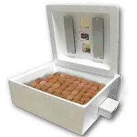 Купить  инкубатор зэбт би-2 (м), u=220, 77 яиц, автоматич. поворот ,аналог , терморегулятор в интернет-магазине iceteh.ru в Орске, Новотроицке, Гае, Домбаровском, Ясном, Адамовке, Кваркено!