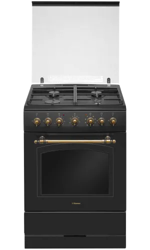 Купить  комбинированная плита hansa fcma 68109 в интернет-магазине iceteh.ru в Орске, Новотроицке, Гае, Домбаровском, Ясном, Адамовке, Кваркено!