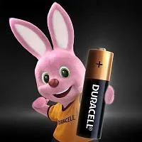 Купить  батареи duracell lr 6 (2x10) bl mn 1500 в интернет-магазине iceteh.ru в Орске, Новотроицке, Гае, Домбаровском, Ясном, Адамовке, Кваркено!