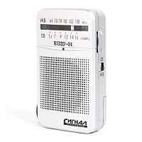 Купить  радио,часы,приемник радиоприемник эфир 01 в интернет-магазине Айсберг техники в Орске!