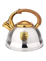 Купить  чайник rashel м-7928 нерж сталь 3л в интернет-магазине iceteh.ru в Орске, Новотроицке, Гае, Домбаровском, Ясном, Адамовке, Кваркено!