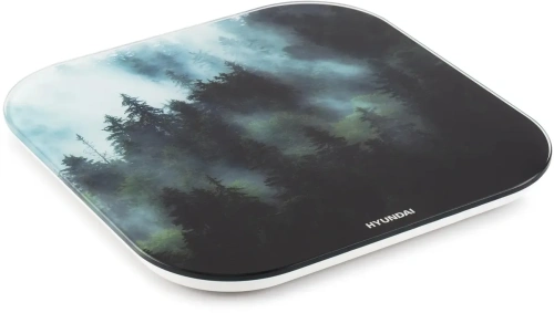 Купить  весы hyundai h-bs 03761 в интернет-магазине Айсберг техники в Орске, Новотроицке, Гае, Домбаровском, Ясном, Адамовке, Кваркено! фото 2