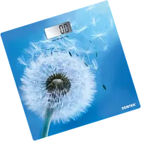Купить  весы centek ct-2421 (spring flower) в интернет-магазине Айсберг техники в Орске, Новотроицке, Гае, Домбаровском, Ясном, Адамовке, Кваркено!