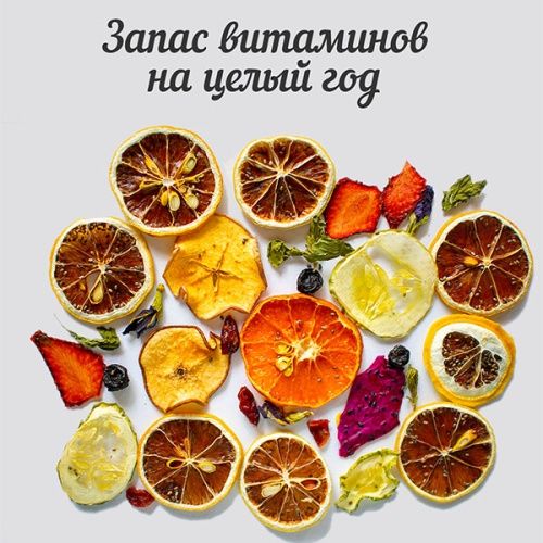 Купить  электросушка bq fd 1000 черный- стальной в интернет-магазине iceteh.ru в Орске, Новотроицке, Гае, Домбаровском, Ясном, Адамовке, Кваркено! фото 5