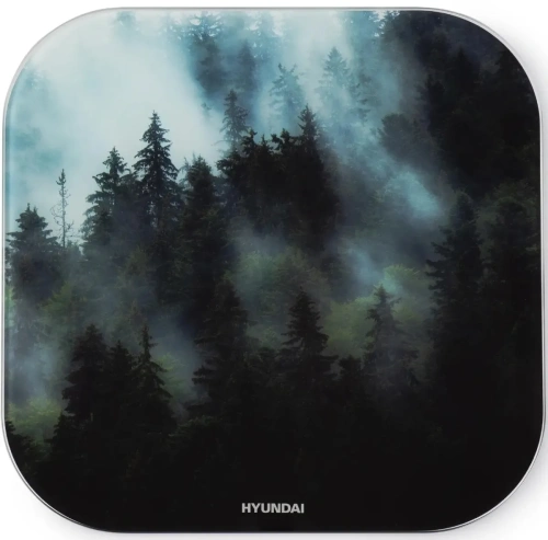 Купить  весы hyundai h-bs 03761 в интернет-магазине Айсберг техники в Орске, Новотроицке, Гае, Домбаровском, Ясном, Адамовке, Кваркено!