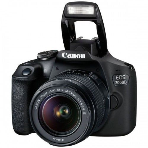 Купить  фотоаппарат canon eos 2000 d kit ef-s 18-55 dc iii в интернет-магазине Айсберг техники в Орске! фото 2